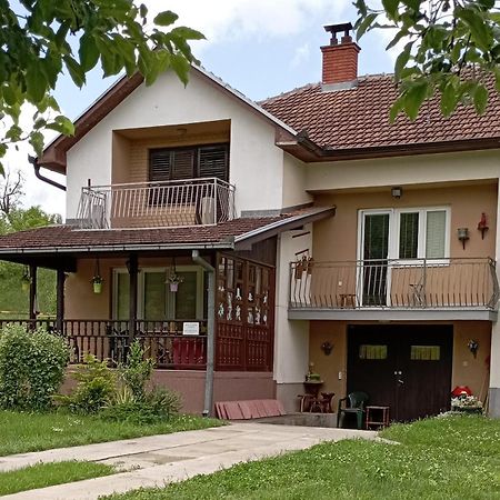 Kuca Za Odmor Zicanka Kraljevo Exterior photo