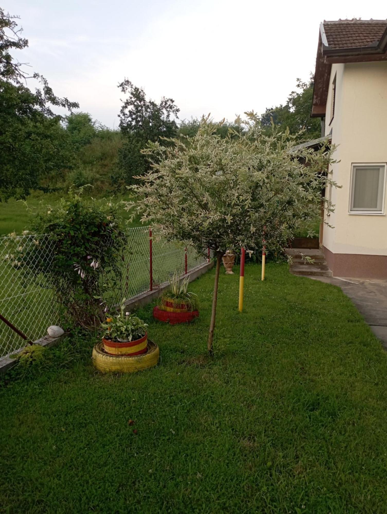 Kuca Za Odmor Zicanka Kraljevo Exterior photo