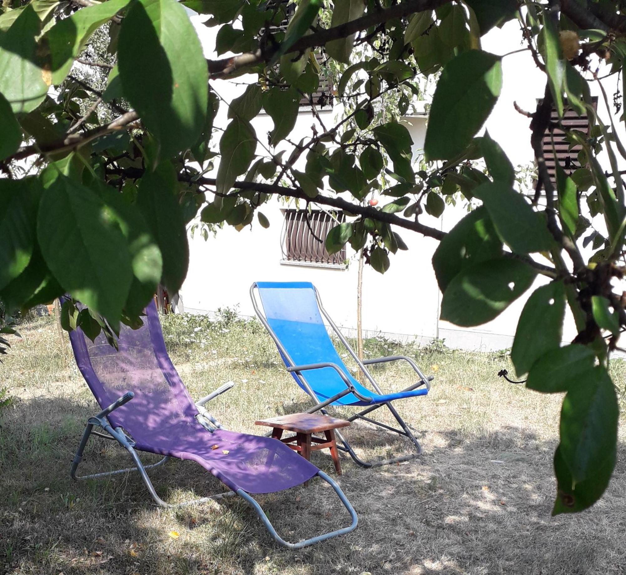 Kuca Za Odmor Zicanka Kraljevo Exterior photo