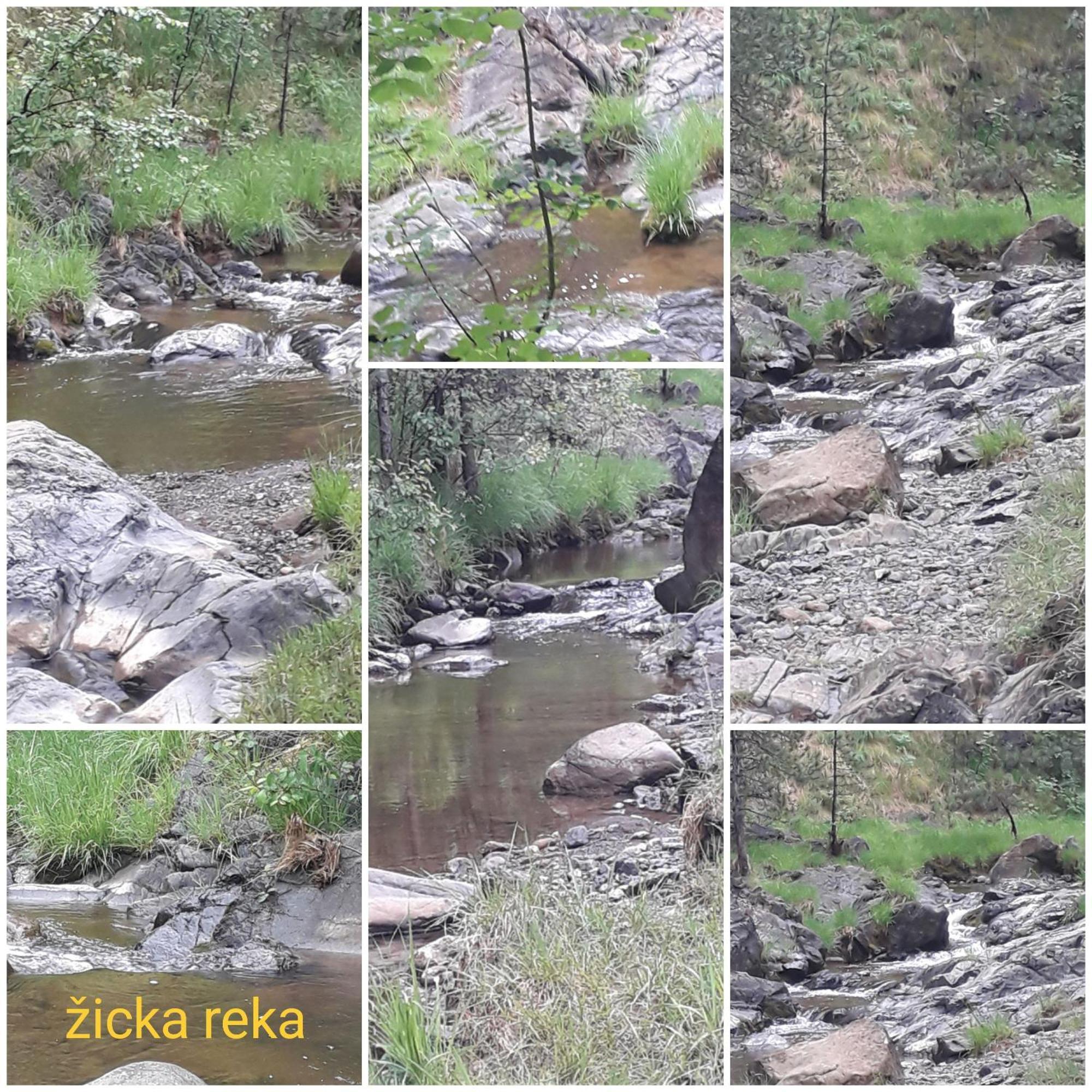 Kuca Za Odmor Zicanka Kraljevo Exterior photo